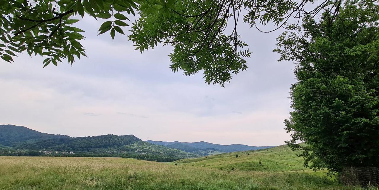 Вилла Casuta Cu Bine Valea Lunga-Ogrea Экстерьер фото